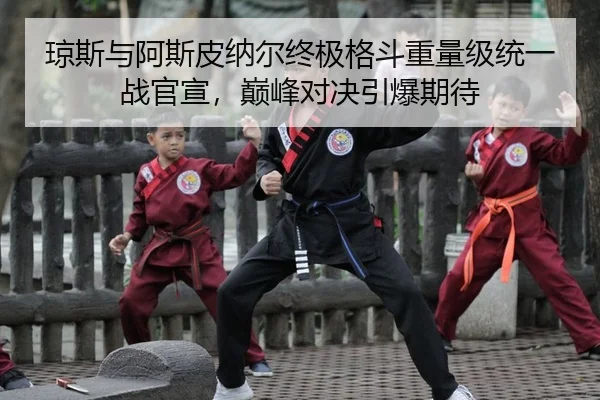 qiong-si-yu-a-si-pi-na-er-zhong-ji-ge-dou-zhong-liang-ji-tong-yi-zhan-guan-xuan-dian-feng-dui-jue-yin-bao-qi-dai-2-865.jpg