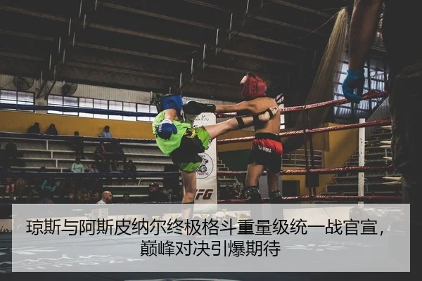 琼斯与阿斯皮纳尔终极格斗重量级统一战官宣，巅峰对决引爆期待